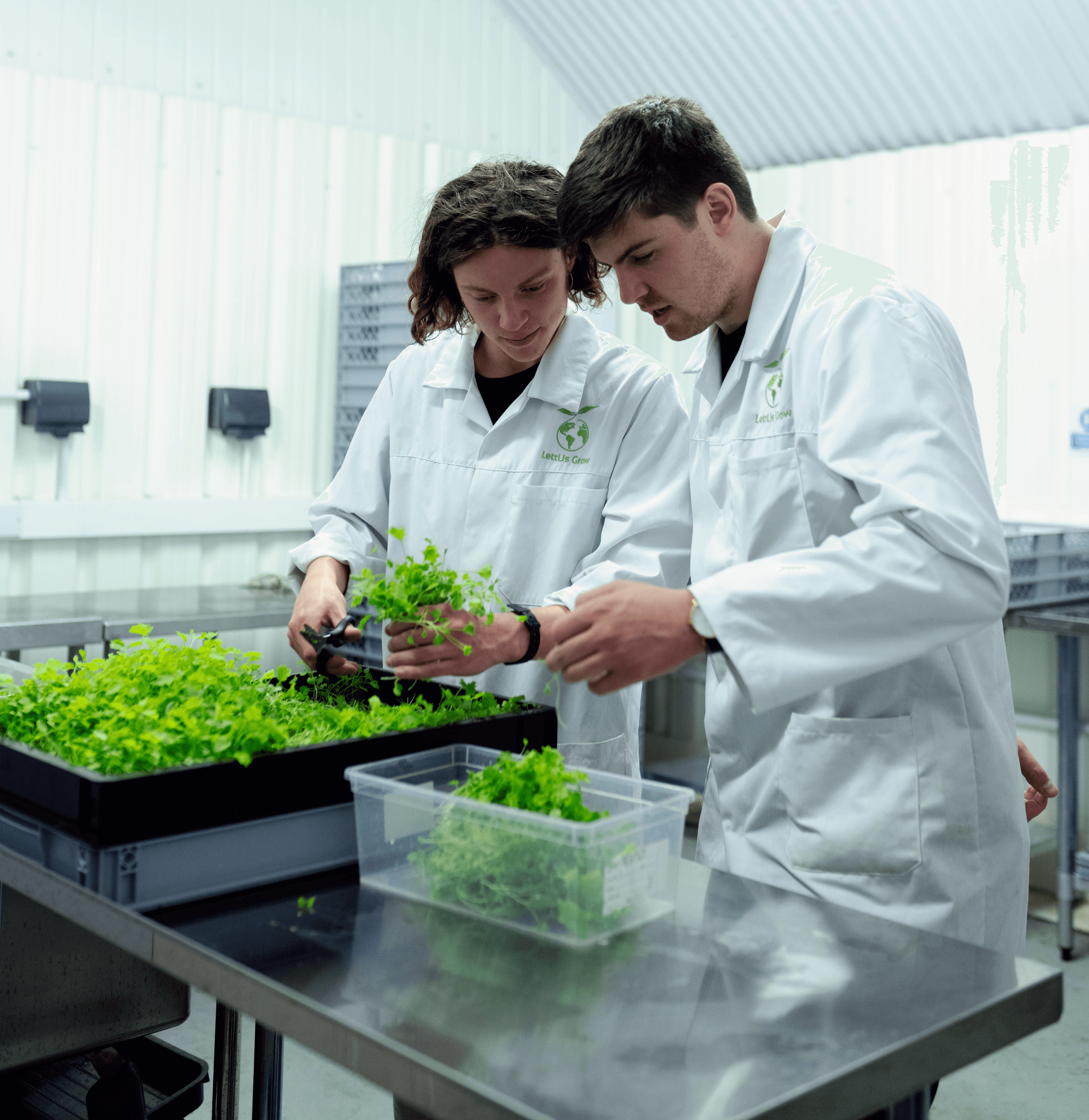 CYTOLIFE Agritech